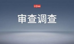 娱乐爆料文案励志,从娱乐爆料到励志传奇